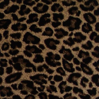Angora - Peruvian Tiger